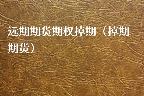 远期期货期权掉期（掉期 期货）_https://www.kuaijiepai.net_国际期货_第1张