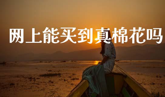 网上能买到真棉花吗_https://www.kuaijiepai.net_国际期货_第1张