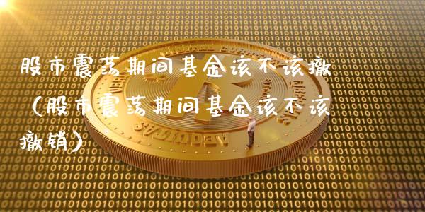 股市震荡期间基金该不该撤（股市震荡期间基金该不该撤销）_https://www.kuaijiepai.net_期货理财_第1张