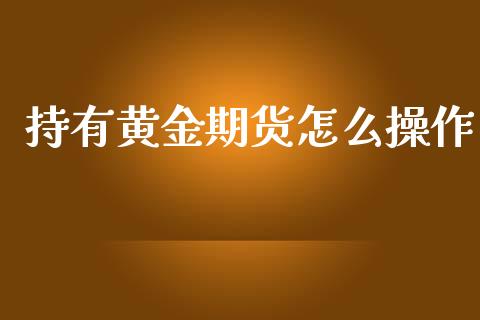 持有黄金期货怎么操作_https://www.kuaijiepai.net_期货资讯_第1张