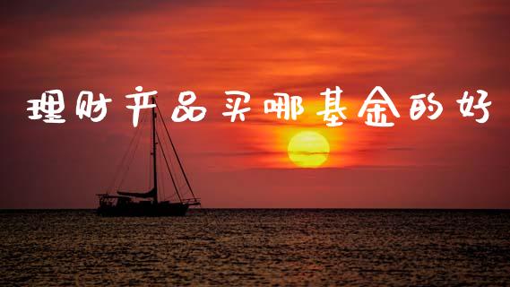 理财产品买哪基金的好_https://www.kuaijiepai.net_投资理财_第1张