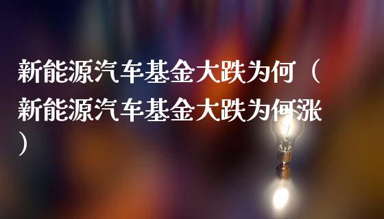 新能源汽车基金大跌为何（新能源汽车基金大跌为何涨）_https://www.kuaijiepai.net_期货理财_第1张