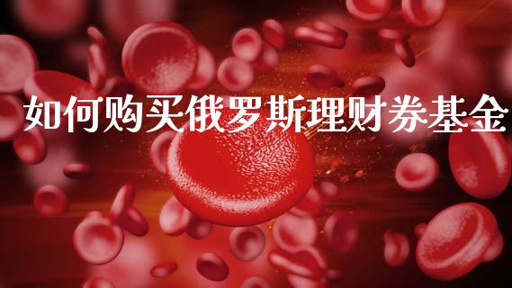 如何购买俄罗斯理财券基金_https://www.kuaijiepai.net_期货理财_第1张