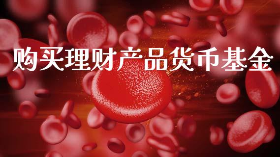 购买理财产品货币基金_https://www.kuaijiepai.net_投资理财_第1张