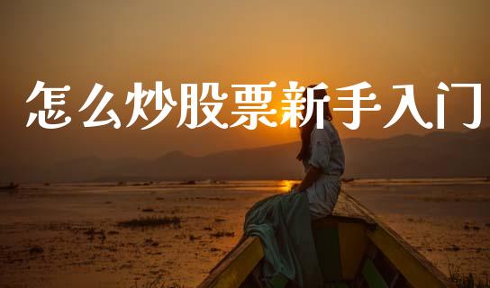 怎么炒股票新手入门_https://www.kuaijiepai.net_期货在线_第1张