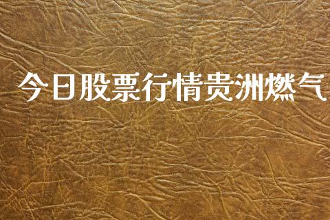 今日股票行情贵洲燃气_https://www.kuaijiepai.net_新股新闻_第1张