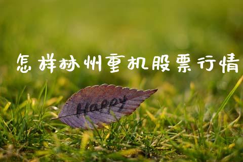 怎样林州重机股票行情_https://www.kuaijiepai.net_新股新闻_第1张