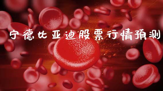宁德比亚迪股票行情预测_https://www.kuaijiepai.net_国际股建_第1张