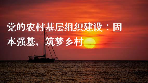 党的农村基层组织建设：固本强基，筑梦乡村_https://www.kuaijiepai.net_期货理财_第1张