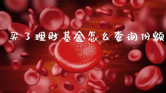 买了理财基金怎么查询份额_https://www.kuaijiepai.net_期货理财_第1张