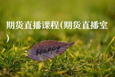期货直播课程(期货直播室)_国际股建_第1张_快捷排财经网 期货直播课程(期货直播室)_https://www.kuaijiepai.net_国际股建_第1张