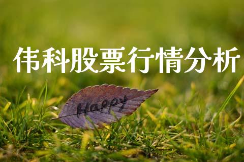 伟科股票行情分析_https://www.kuaijiepai.net_新股新闻_第1张