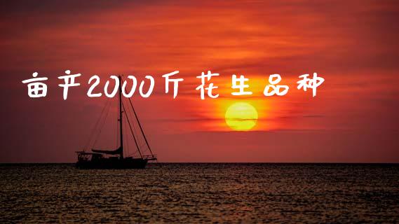 亩产2000斤花生品种_https://www.kuaijiepai.net_期货资讯_第1张