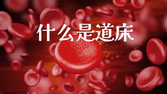 什么是道床_https://www.kuaijiepai.net_期货在线_第1张