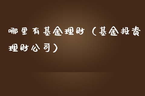 哪里有基金理财（基金投资理财公司）_https://www.kuaijiepai.net_投资理财_第1张