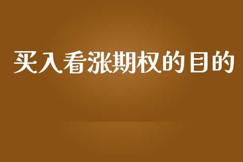 买入看涨期权的目的_https://www.kuaijiepai.net_期货资讯_第1张