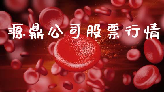 源鼎公司股票行情_https://www.kuaijiepai.net_新股新闻_第1张
