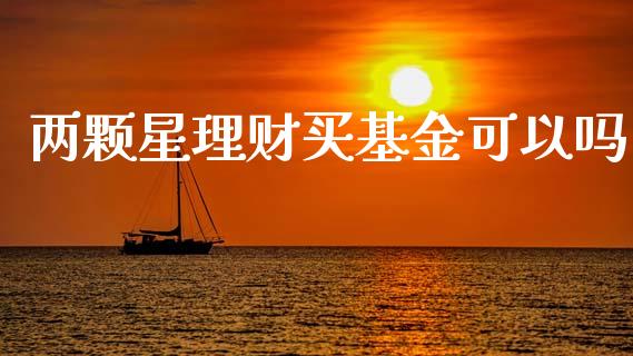 两颗星理财买基金可以吗_https://www.kuaijiepai.net_投资理财_第1张