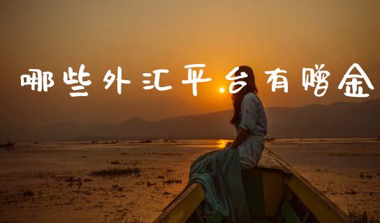 哪些外汇平台有赠金_https://www.kuaijiepai.net_期货在线_第1张