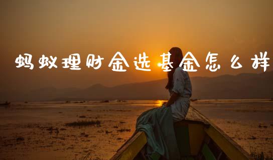 蚂蚁理财金选基金怎么样_https://www.kuaijiepai.net_期货理财_第1张