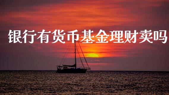 银行有货币基金理财卖吗_https://www.kuaijiepai.net_投资理财_第1张