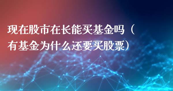 现在股市在长能买基金吗（有基金为什么还要买股票）_https://www.kuaijiepai.net_投资理财_第1张