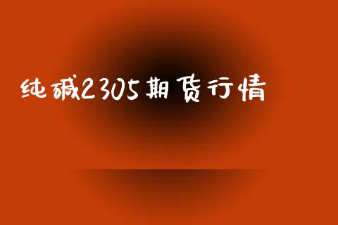 纯碱2305期货行情_https://www.kuaijiepai.net_期货资讯_第1张