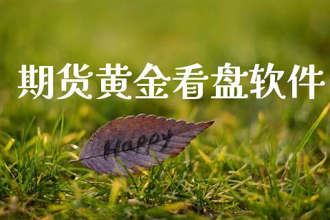 期货黄金看盘软件_https://www.kuaijiepai.net_期货资讯_第1张