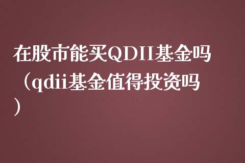 在股市能买QDII基金吗（qdii基金值得投资吗）_https://www.kuaijiepai.net_投资理财_第1张