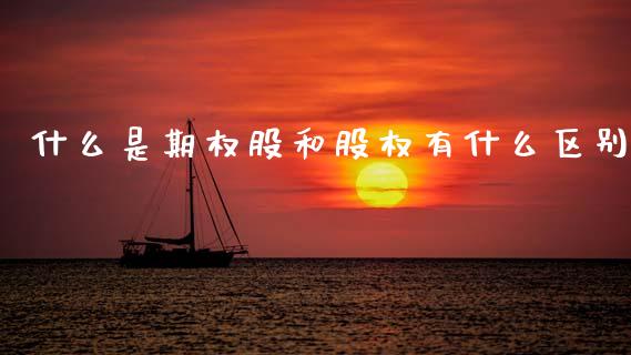 什么是期权股和股权有什么区别_https://www.kuaijiepai.net_国际期货_第1张