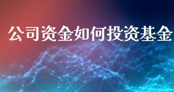 公司资金如何投资基金_https://www.kuaijiepai.net_国际期货_第1张