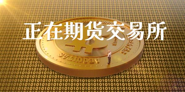 正在期货交易所_https://www.kuaijiepai.net_股票理论_第1张