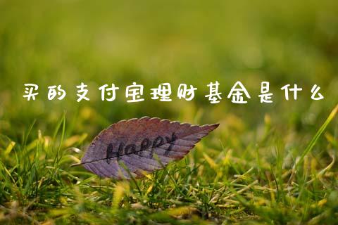 买的支付宝理财基金是什么_https://www.kuaijiepai.net_期货理财_第1张