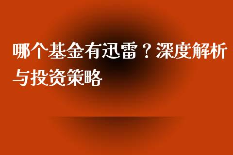 哪个基金有迅雷？深度解析与投资策略_https://www.kuaijiepai.net_投资理财_第1张