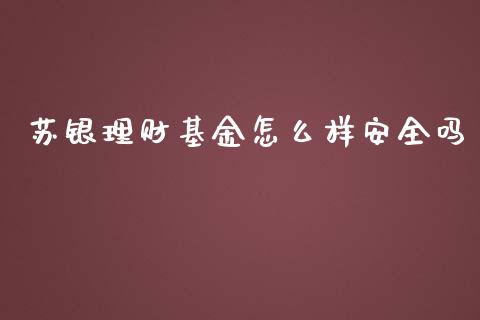 苏银理财基金怎么样安全吗_https://www.kuaijiepai.net_投资理财_第1张