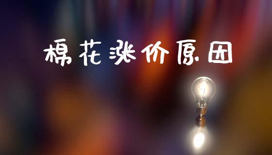 棉花涨价原因_https://www.kuaijiepai.net_期货资讯_第1张