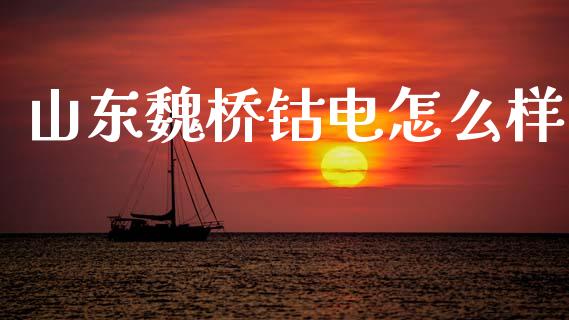 山东魏桥钴电怎么样_https://www.kuaijiepai.net_期货在线_第1张