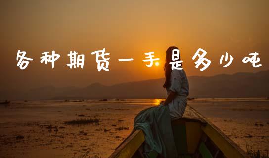 各种期货一手是多少吨_https://www.kuaijiepai.net_国际期货_第1张