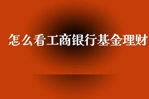 怎么看工商银行基金理财_https://www.kuaijiepai.net_期货理财_第1张