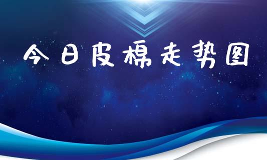 今日皮棉走势图_https://www.kuaijiepai.net_国际期货_第1张
