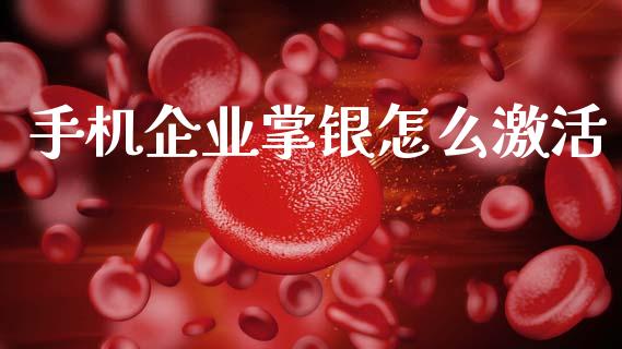 手机企业掌银怎么激活_https://www.kuaijiepai.net_期货理财_第1张