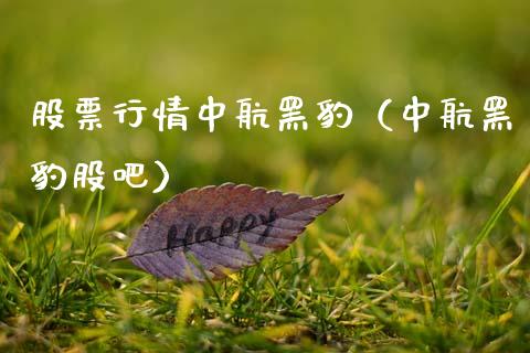 股票行情中航黑豹（中航黑豹股吧）_https://www.kuaijiepai.net_国际股建_第1张