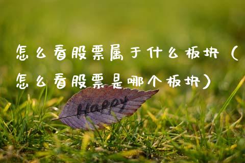 怎么看股票属于什么板块（怎么看股票是哪个板块）_https://www.kuaijiepai.net_新股新闻_第1张