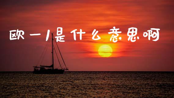 欧一1是什么意思啊_https://www.kuaijiepai.net_国际期货_第1张
