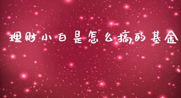 理财小白是怎么搞的基金_https://www.kuaijiepai.net_投资理财_第1张