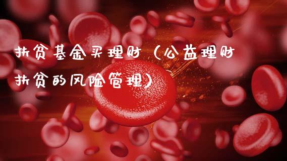 扶贫基金买理财（公益理财扶贫的风险管理）_https://www.kuaijiepai.net_期货理财_第1张