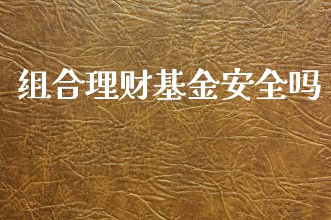 组合理财基金安全吗_https://www.kuaijiepai.net_投资理财_第1张