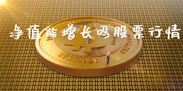 净值能增长吗股票行情_https://www.kuaijiepai.net_股票理论_第1张
