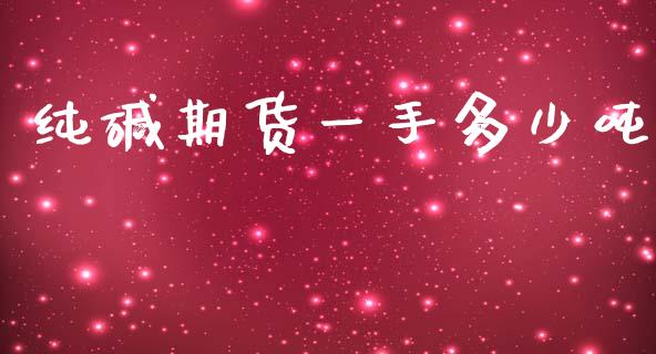 纯碱期货一手多少吨_https://www.kuaijiepai.net_期货资讯_第1张