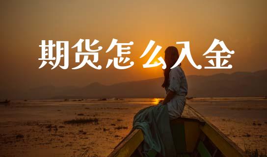 期货怎么入金_https://www.kuaijiepai.net_国际股建_第1张
